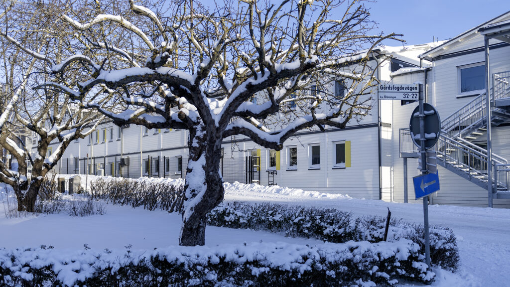 Adolfsbergsskolan – flexibel skolbyggnad med dynamisk arkitektur anpassad för långsiktigt bruk